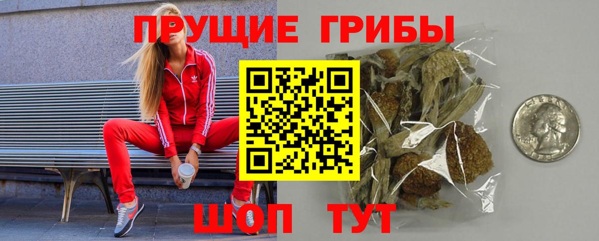 Новосибирск  Галлюциногенные грибы Magic Shrooms  Вход с VPN  Галлюциногенные грибы Psilocybe 